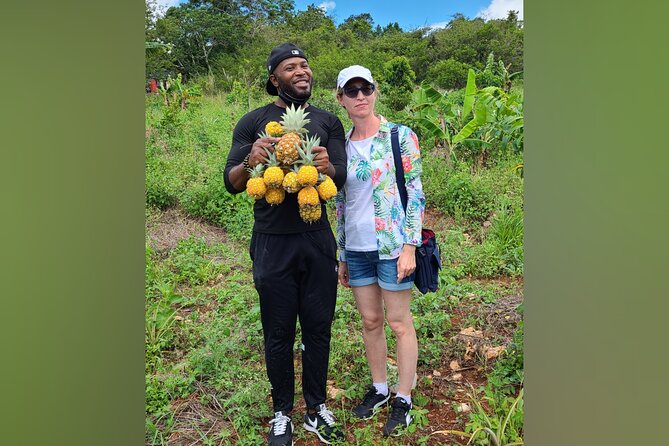 Tour a Jamaican Farm - Key points about the farm visit