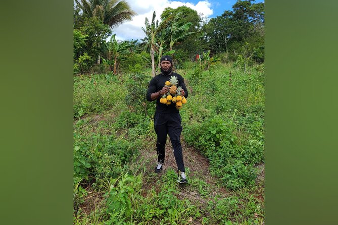 Tour a Jamaican Farm - Meeting at Fruits Gallery in Mandeville