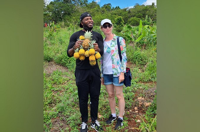 Tour a Jamaican Farm - Picking ripe fruit and trying the work