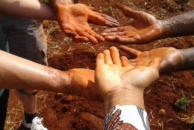Tour a Jamaican Farm - Why the small group makes a difference