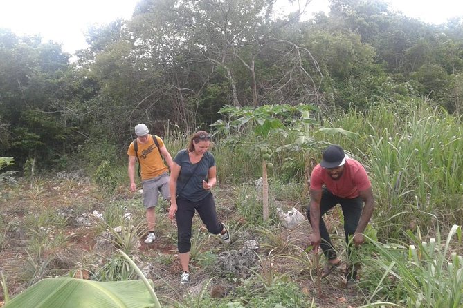 Tour a Jamaican Farm - Is $70 a fair price?
