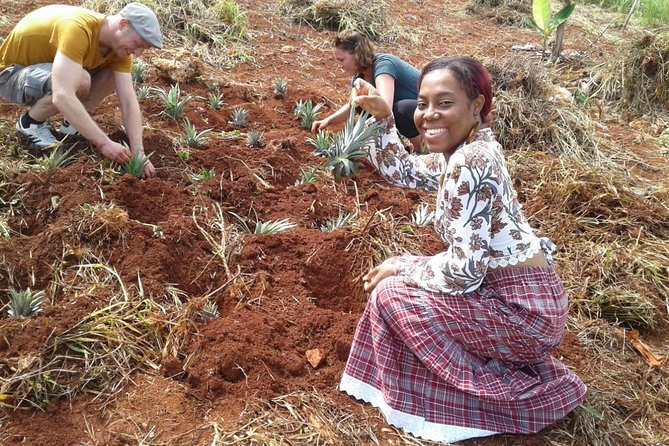 Tour a Jamaican Farm - The taxi ride to the farm