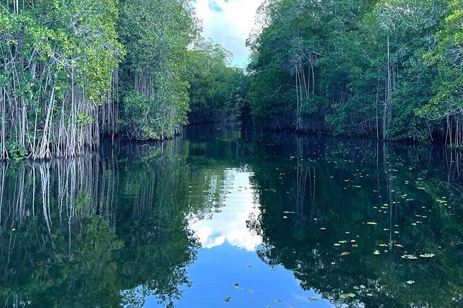 Tour to Black River and YS Falls - Everald’s driving and guiding can shape the day