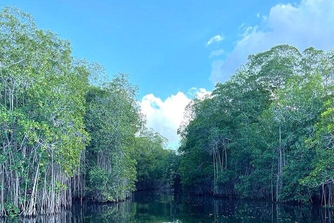 Tour to Black River and YS Falls - Who will enjoy this tour most?