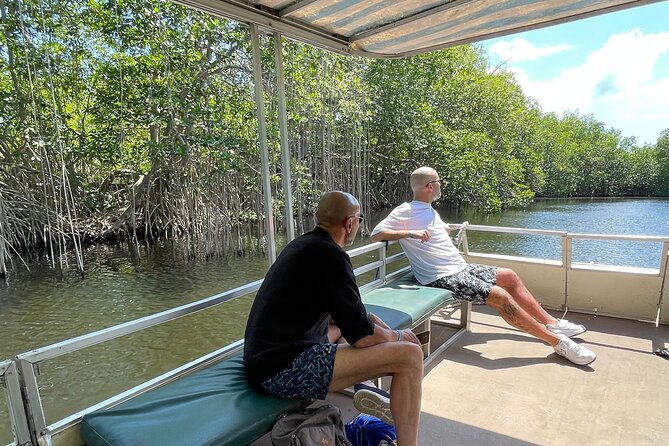 Tour to Black River and YS Falls - Black River: crocodiles and mangrove habitat