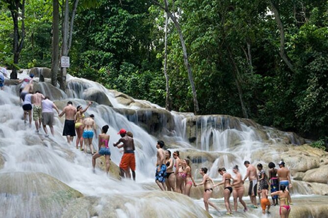 Ultimate Dunn's River Falls hike and swim and Natural wonder - Key Things to Know Before You Book