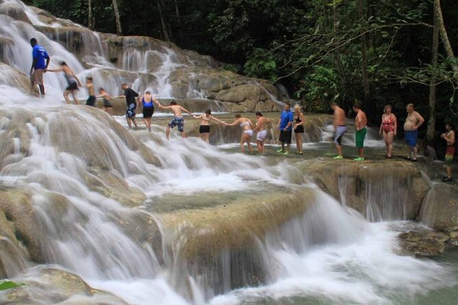 Ultimate Dunn's River Falls hike and swim and Natural wonder - Central Gardens, Food, and Time After the Climb