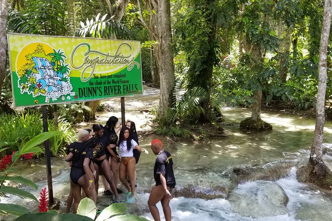 Visit Dunn's River and Secret Falls Tour with River Tubing and Lunch in Jamaica - What the $225 price really covers