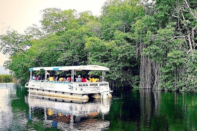 YS Falls and Black River Safari South Coast from Negril Jamaica - Safety, Service, and the Human Side