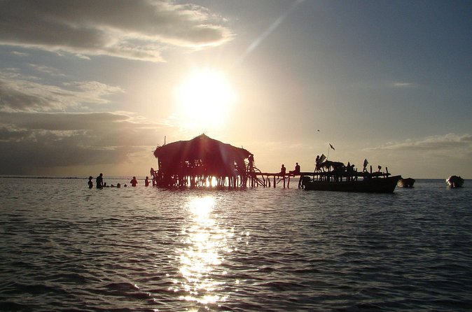 YS Falls, Black River Safari, and Floyd's Pelican Bar Day-Trip (Transportation) - Black River Safari: a quiet hour among wetlands and crocodiles