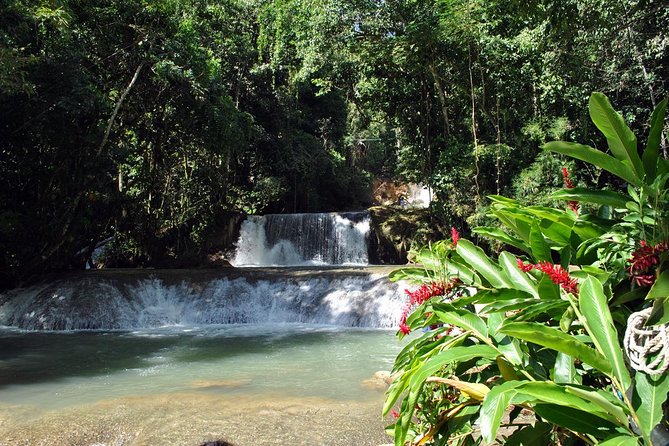 YS Falls, Black River Safari, Appleton Rum Tour OR Pelican Bar (Choose Up to 3) - A long South Coast day from Montego Bay