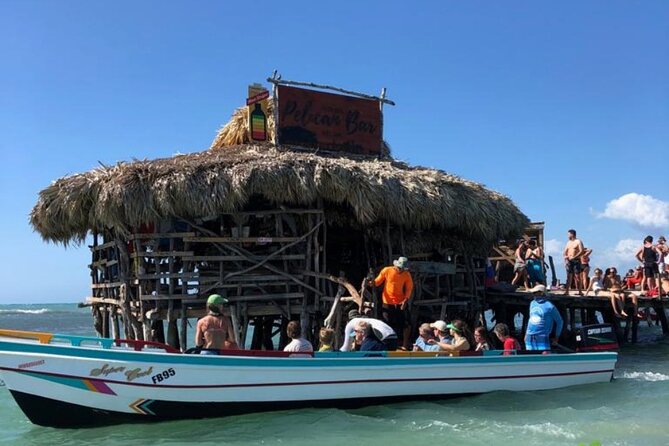 YS Falls, Black River Safari, Appleton Rum Tour OR Pelican Bar (Choose Up to 3) - The real cost of the day