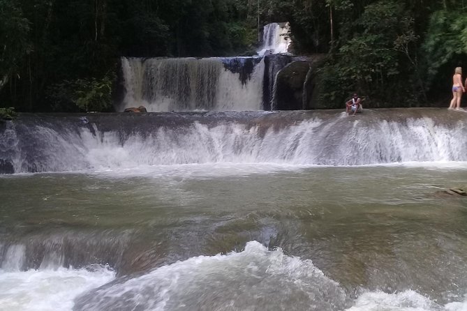 YS Falls & Pelican Bar Tour - What Marlon adds to a basic transfer