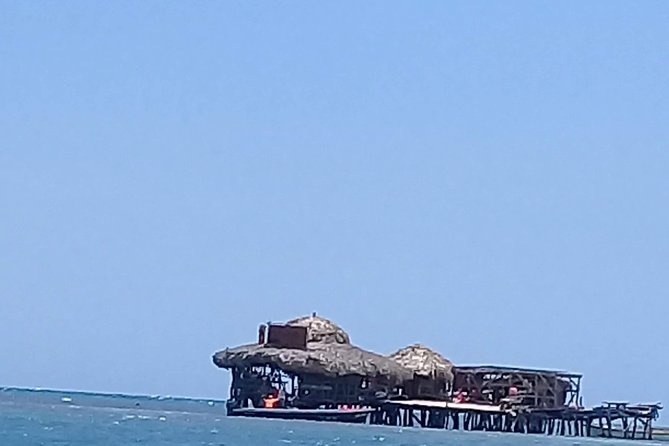 YS Falls & Pelican Bar Tour - Who should book this Negril tour?