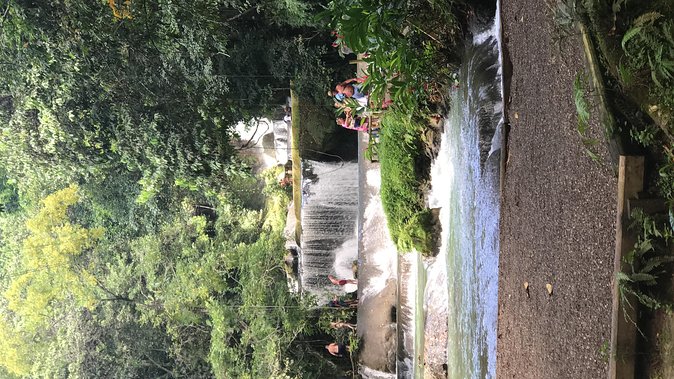 YS Falls Private Full-Day Adventure Tour with Pickup - The ride from Negril to Jamaica’s South Coast