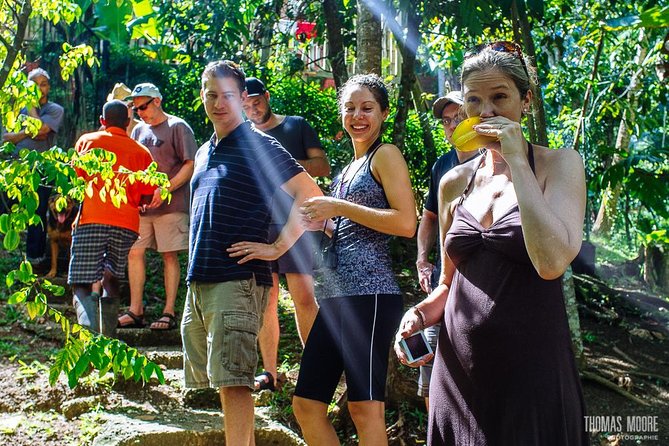 Zimbali's Rasta Tour Lunch - The uphill walk: beautiful, warm, and real